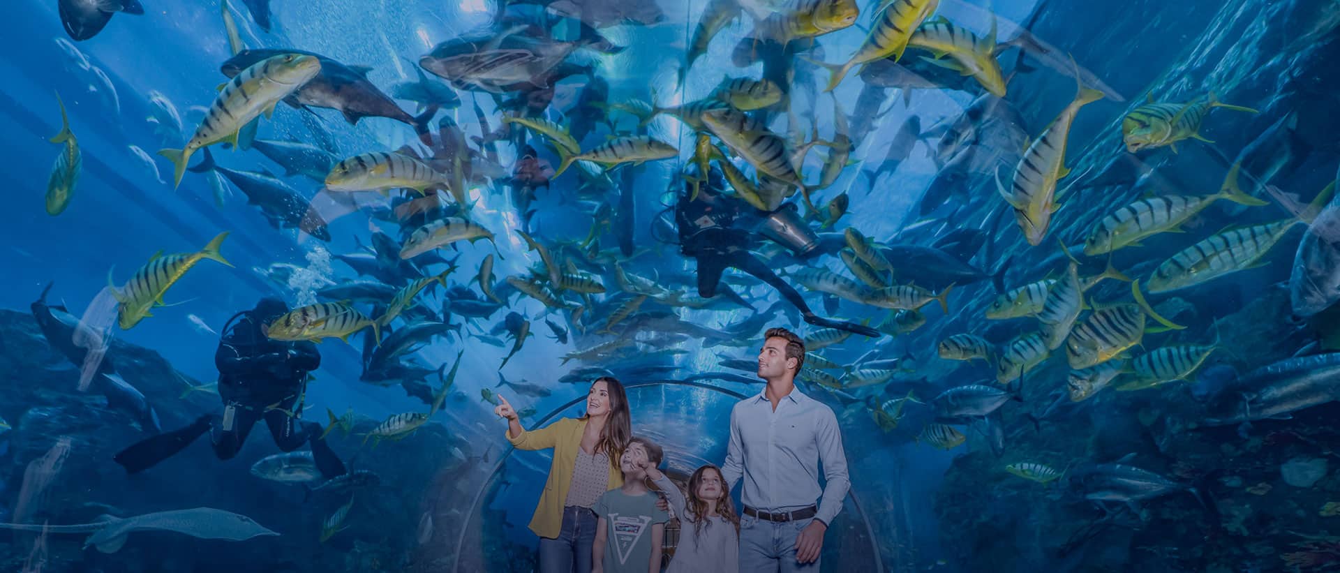 Dubai Aquarium and Underwater Zoo