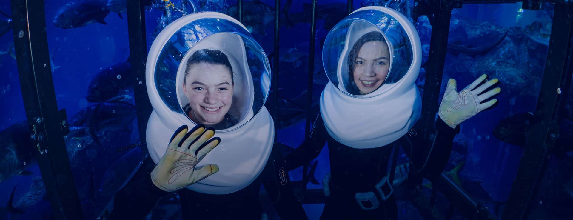 Dubai Aquarium and Underwater Zoo